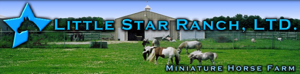 Little Star Ranch